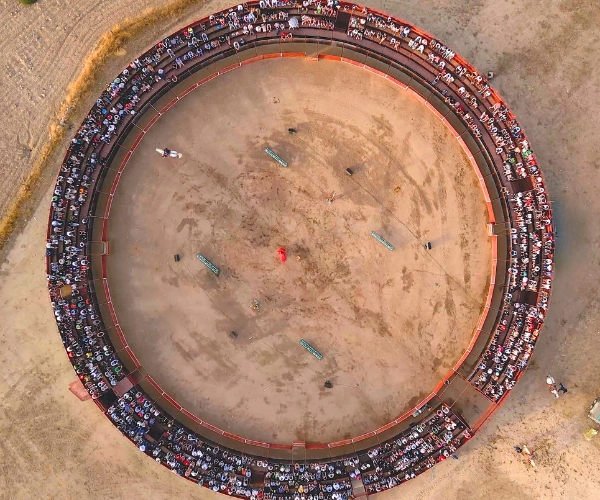 Plaza de toros con caballos bailando